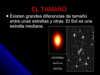 EL TAMAÑO   Existen grandes diferencias de tamaño entre unas estrellas y otras. El Sol es una estrella mediana.  