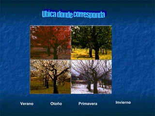 Verano Otoño Primavera Invierno Ubica donde corresponda 