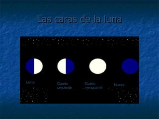 Las caras de la luna Llena Cuarto creciente Cuarto menguante Nueva 