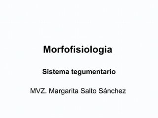 Morfofisiologia  Sistema tegumentario MVZ. Margarita Salto Sánchez  