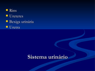 Sistema urinário Rins  Ureteres  Bexiga urinária Uretra 