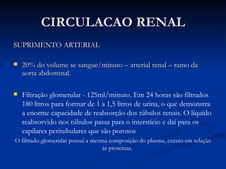 CIRCULACAO RENAL SUPRIMENTO ARTERIAL 20% do volume se sangue/minuto – arterial renal – ramo da aorta abdominal. Filtração glomerular - 125ml/minuto. Em 24 horas são filtrados 180 litros para formar de 1 a 1,5 litros de urina, o que demonstra a enorme capacidade de reabsorção dos túbulos renais. O líquido reabsorvido nos túbulos passa para o interstício e daí para os capilares peritubulares que são porosos O filtrado glomerular possui a mesma composição do plasma, exceto em relação às proteínas. 