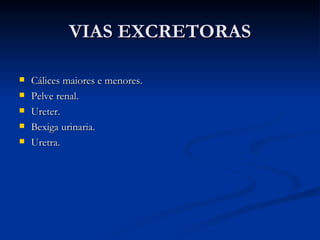 VIAS EXCRETORAS Cálices maiores e menores. Pelve renal. Ureter. Bexiga urinaria. Uretra.  