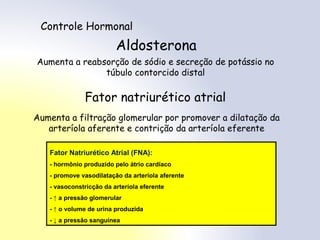 Controle Hormonal
Aldosterona
Aumenta a reabsorção de sódio e secreção de potássio no
túbulo contorcido distal
Fator natriurético atrial
Aumenta a filtração glomerular por promover a dilatação da
arteríola aferente e contrição da arteríola eferente
Fator Natriurético Atrial (FNA):
- hormônio produzido pelo átrio cardíaco
- promove vasodilatação da arteríola aferente
- vasoconstricção da arteríola eferente
- ↑ a pressão glomerular
- ↑ o volume de urina produzida
- ↓ a pressão sanguínea
 