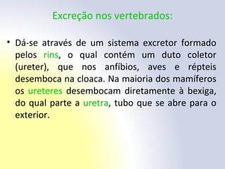 Excreção nos vertebrados:
• Dá-se através de um sistema excretor formado
pelos rins, o qual contém um duto coletor
(ureter), que nos anfíbios, aves e répteis
desemboca na cloaca. Na maioria dos mamíferos
os ureteres desembocam diretamente à bexiga,
do qual parte a uretra, tubo que se abre para o
exterior.
 