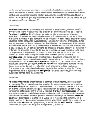 mucho más corta pues su recorrido es menor. Está adherida firmemente a la pared de la
vagina, no pasa por la próstata -las mujeres carecen de este órgano- y no tiene, como en el
hombre, una función reproductora. No hay que confundir el uréter con la uretra. No son lo
mismo.. Analizaremos por separado las partes de la uretra en los dos sexos ya que
es bastante diferente (imagen6)
Masculina:
Porción intramural: encontramos el esfínter uretral interno, de contracción
involuntaria. Tiene musculatura lisa circular. Se encuentra dentro de la vejiga.
Porción prostática: En el interior de esta porción encontramos el verum
montarum, donde en su interior hallamos el utrículo prostático, que es el útero
masculino atrofiado y que por tanto no es funcional y a sus lados encontramos los
agujeros de los conductos eyaculadores. También hay el sinus prostático, donde
hay los agujeros de desembocadura de las glándulas de la próstata. Esta porción
está rodeada por la próstata y cuando esta aumenta de tamaño, por ejemplo con
la edad a causa de un cáncer benigno de próstata, provoca el cierra de la uretra y
entonces no se puede orinar hasta que en la vejiga no haya mucha presión para
conseguir dilatar la próstata (el paciente tiene muchas ganas de orinar pero
cuando va al WC sólo consigue orinar unas cuantas gotas). Porción
membranosa: En esta porción encotramos el diafragma urogenital con el
esfínter urogenital externo de contracción voluntaria que nos permite controlar el
reflejo de micción. Porción esponjosa: es la porción que circula por el cuerpo
esponjoso del pene. (Imagen6)Porción navicular: recibe este nombre ya que
tiene, justo antes de salir por el orificio uretral externo la fosa navicular.
Encontramos las glándulas de Guerin y las válvulas bulbouretrales de Cowper,
importantes para la eyaculación. Irrigación: arterias vesicales, prostáticas y
pudendas, ramas de la ilíaca interna
Femenina:
Porción intramural: encontramos el esfínter uretral interno, de contracción
involuntaria. Tiene musculatura lisa circular. Se encuentra dentro de la vejiga.
Porción pélvica: se relaciona posteriormente con la vagina, comparte con ella
un mismo tabique. Importante para la exploración diagnóstica (mirar si hay
conexiones patológicas entre uretra y vagina). Porción membranosa: En esta
porción encotramos el diafragma urogenital con el esfínter urogenital externo de
contracción voluntaria que nos permite controlar el reflejo de micción. Porción
perineal: desemboca la uretra en la vulva en el meato uretral externo, en la
papila uretral. Irrigación: arterias vesicales, vaginales y pudendas, ramas de la
ilíaca interna. Linfáticos: ganglios inguinales e ilíacos. Inervación: nervios
sensitivos y vegetativos del plexo hipogástrico y pudendo.
 