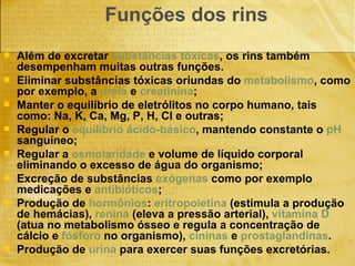 Funções dos rins Além de excretar  substâncias tóxicas , os rins também desempenham muitas outras funções.  Eliminar substâncias tóxicas oriundas do  metabolismo , como por exemplo, a  uréia  e  creatinina ;  Manter o equilíbrio de eletrólitos no corpo humano, tais como: Na, K, Ca, Mg, P, H, Cl e outras;  Regular o  equilíbrio ácido-básico , mantendo constante o  pH  sanguíneo;  Regular a  osmolaridade  e volume de líquido corporal eliminando o excesso de água do organismo;  Excreção de substâncias  exógenas  como por exemplo medicações e  antibióticos ;  Produção de  hormônios :  eritropoietina  (estimula a produção de hemácias),  renina  (eleva a pressão arterial),  vitamina D  (atua no metabolismo ósseo e regula a concentração de cálcio e  fósforo  no organismo),  cininas  e  prostaglandinas .  Produção de  urina  para exercer suas funções excretórias.   