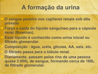 A formação da urina  O sangue penetra nos capilares renais sob alta pressão Força a saída do líquido sanguíneo para a cápsula renal (Bowman). Esse líquido é conhecido como urina inicial ou filtrado glomerular. Composição : água, uréia, glicose, AA, sais, etc. O filtrado passa para o túbulo renal.  Diariamente, passam pelos rins de uma pessoa quase 2.000L de sangue, formando cerca de 160L de filtrado glomerular. 