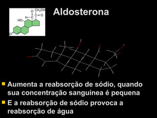 Aldosterona   Aumenta a reabsorção de sódio, quando sua concentração sanguínea é pequena E a reabsorção de sódio provoca a reabsorção de água 