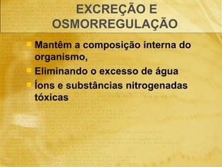 EXCREÇÃO E OSMORREGULAÇÃO  Mantêm a composição interna do organismo,  Eliminando o excesso de água Íons e substâncias nitrogenadas tóxicas 