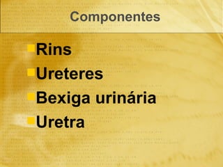 Componentes  Rins Ureteres Bexiga urinária Uretra 