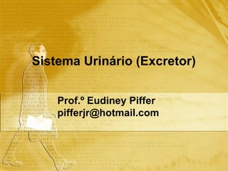 Sistema Urinário (Excretor)   Prof.º Eudiney Piffer [email_address] 