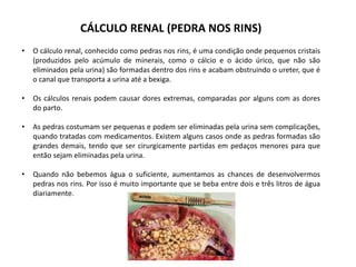 CÁLCULO RENAL (PEDRA NOS RINS)
• O cálculo renal, conhecido como pedras nos rins, é uma condição onde pequenos cristais
(produzidos pelo acúmulo de minerais, como o cálcio e o ácido úrico, que não são
eliminados pela urina) são formadas dentro dos rins e acabam obstruindo o ureter, que é
o canal que transporta a urina até a bexiga.
• Os cálculos renais podem causar dores extremas, comparadas por alguns com as dores
do parto.
• As pedras costumam ser pequenas e podem ser eliminadas pela urina sem complicações,
quando tratadas com medicamentos. Existem alguns casos onde as pedras formadas são
grandes demais, tendo que ser cirurgicamente partidas em pedaços menores para que
então sejam eliminadas pela urina.
• Quando não bebemos água o suficiente, aumentamos as chances de desenvolvermos
pedras nos rins. Por isso é muito importante que se beba entre dois e três litros de água
diariamente.
 