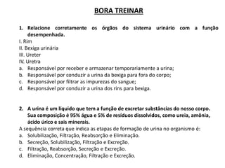 BORA TREINAR
1. Relacione corretamente os órgãos do sistema urinário com a função
desempenhada.
I. Rim
II. Bexiga urinária
III. Ureter
IV. Uretra
a. Responsável por receber e armazenar temporariamente a urina;
b. Responsável por conduzir a urina da bexiga para fora do corpo;
c. Responsável por filtrar as impurezas do sangue;
d. Responsável por conduzir a urina dos rins para bexiga.
2. A urina é um líquido que tem a função de excretar substâncias do nosso corpo.
Sua composição é 95% água e 5% de resíduos dissolvidos, como ureia, amônia,
ácido úrico e sais minerais.
A sequência correta que indica as etapas de formação de urina no organismo é:
a. Solubilização, Filtração, Reabsorção e Eliminação.
b. Secreção, Solubilização, Filtração e Excreção.
c. Filtração, Reabsorção, Secreção e Excreção.
d. Eliminação, Concentração, Filtração e Excreção.
 
