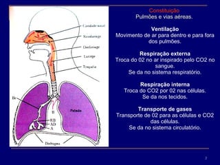 Constituição   Pulmões e vias aéreas.  Ventilação Movimento de ar para dentro e para fora dos pulmões. Respiração externa Troca do 02 no ar inspirado pelo CO2 no sangue. Se da no sistema respiratório. Respiração interna Troca do CO2 por 02 nas células. Se da nos tecidos. Transporte de gases Transporte de 02 para as células e CO2 das células. Se da no sistema circulatório. 