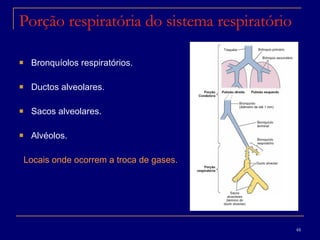 Porção respiratória do sistema respiratório Bronquíolos respiratórios. Ductos alveolares. Sacos alveolares. Alvéolos.  Locais onde ocorrem a troca de gases. 