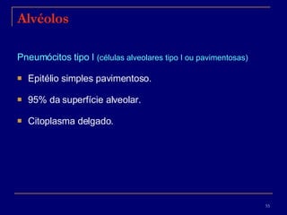 Alvéolos Pneumócitos tipo I  (células alveolares tipo I ou pavimentosas) Epitélio simples pavimentoso.  95% da superfície alveolar. Citoplasma delgado.  