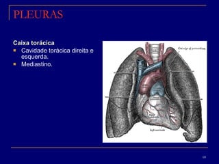PLEURAS Caixa torácica Cavidade torácica direita e esquerda. Mediastino. 