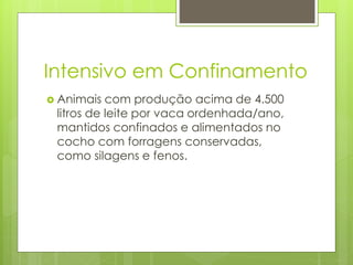Intensivo em Confinamento
 Animais com produção acima de 4.500
litros de leite por vaca ordenhada/ano,
mantidos confinados e alimentados no
cocho com forragens conservadas,
como silagens e fenos.
 