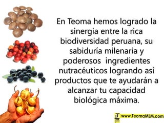 En Teoma hemos logrado laEn Teoma hemos logrado la
sinergia entre la ricasinergia entre la rica
biodiversidad peruana, subiodiversidad peruana, su
sabiduría milenaria ysabiduría milenaria y
poderosos ingredientespoderosos ingredientes
nutracéuticos logrando asínutracéuticos logrando así
productos que te ayudarán aproductos que te ayudarán a
alcanzar tu capacidadalcanzar tu capacidad
biológica máxima.biológica máxima.
 