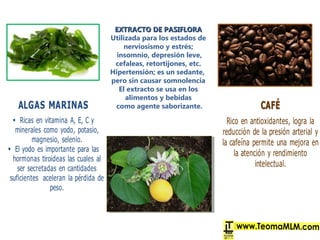 EXTRACTO DE PASIFLORAEXTRACTO DE PASIFLORA
Utilizada para los estados de
nerviosismo y estrés;
insomnio, depresión leve,
cefaleas, retortijones, etc.
Hipertensión; es un sedante,
pero sin causar somnolencia
El extracto se usa en los
alimentos y bebidas
como agente saborizante.
 