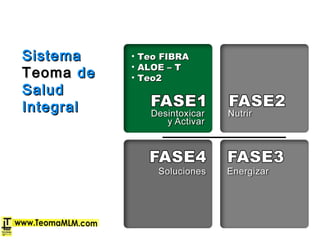 SistemaSistema
TeomaTeoma dede
SaludSalud
IntegralIntegral
• Teo FIBRATeo FIBRA
• ALOE – TALOE – T
• Teo2Teo2
 