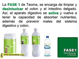 LaLa FASE 1FASE 1 de Teoma, se encarga de limpiar yde Teoma, se encarga de limpiar y
desintoxicardesintoxicar el colon y el intestino delgado.el colon y el intestino delgado.
Así, el aparato digestivo seAsí, el aparato digestivo se activaactiva y vuelve ay vuelve a
tener la capacidad de absorber nutrientes,tener la capacidad de absorber nutrientes,
además de prevenir males del sistemaademás de prevenir males del sistema
digestivo y colon.digestivo y colon.
 