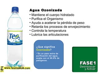• Mantiene el cuerpo hidratado
• Purifica el Organismo
• Ayuda a acelerar la pérdida de peso
• Retarda los procesos de envejecimiento
• Controla la temperatura
• Lubrica las articulaciones
¿Que significa
Ozonizada?
Es un paso extra de
purificación del agua,
acaba con el 99.9% de
patógenos.
Agua Ozonizada
 