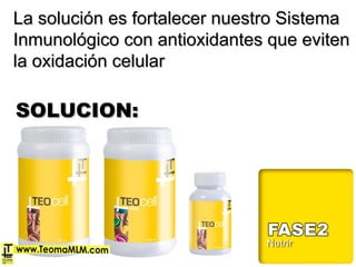 La solución es fortalecer nuestro SistemaLa solución es fortalecer nuestro Sistema
Inmunológico con antioxidantes que evitenInmunológico con antioxidantes que eviten
la oxidación celularla oxidación celular
SOLUCION:SOLUCION:
 