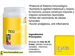 •Potencia el Sistema Inmunológico
•Aumenta la agilidad intelectual y mejora
la memoria, porque construye mayores y
mejores conexiones neuronales
•Inhibe del crecimiento de células
tumorales
•Acción analgésica, anti inflamatoria
Ingredientes
Principales
Sinergia de más de 25más de 25
frutasfrutas, plantas curativas,
cereales, vitaminas,
minerales y
antioxidantes
 