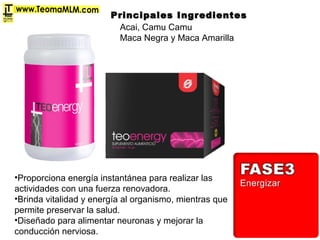 •Proporciona energía instantánea para realizar las
actividades con una fuerza renovadora.
•Brinda vitalidad y energía al organismo, mientras que
permite preservar la salud.
•Diseñado para alimentar neuronas y mejorar la
conducción nerviosa.
Acai, Camu Camu
Maca Negra y Maca Amarilla
Principales IngredientesPrincipales Ingredientes
 