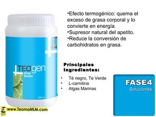 •Efecto termogénico: quema el
exceso de grasa corporal y lo
convierte en energía.
•Supresor natural del apetito.
•Reduce la conversión de
carbohidratos en grasa.
PrincipalesPrincipales
Ingredientes:Ingredientes:
• Té negro, Te Verde
• L-carnitina
• Algas Marinas
 