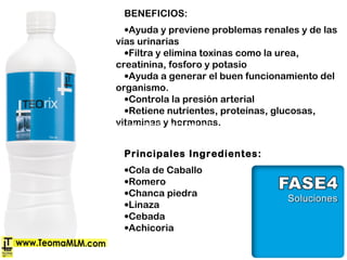 BENEFICIOS:
•Ayuda y previene problemas renales y de las
vías urinarias
•Filtra y elimina toxinas como la urea,
creatinina, fosforo y potasio
•Ayuda a generar el buen funcionamiento del
organismo.
•Controla la presión arterial
•Retiene nutrientes, proteínas, glucosas,
vitaminas y hormonas.
 
Principales Ingredientes:
•Cola de Caballo
•Romero
•Chanca piedra
•Linaza
•Cebada
•Achicoria
 
 
(Danimes.tv) GRIMM 4X11 ONLINE – Sub
ESPAÑOL
 