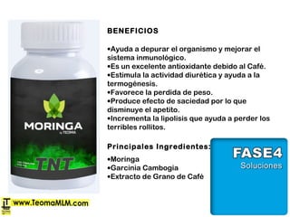 BENEFICIOS
•Ayuda a depurar el organismo y mejorar el
sistema inmunológico.
•Es un excelente antioxidante debido al Café.
•Estimula la actividad diurética y ayuda a la
termogénesis.
•Favorece la perdida de peso.
•Produce efecto de saciedad por lo que
disminuye el apetito.
•Incrementa la lipolisis que ayuda a perder los
terribles rollitos. 
Principales Ingredientes:
•Moringa
•Garcinia Cambogia
•Extracto de Grano de Café
 