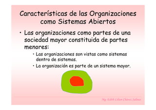 Características de las Organizaciones
      como Sistemas Abiertos
• Las organizaciones como partes de una
  sociedad mayor constituida de partes
  menores:
    • Las organizaciones son vistas como sistemas
      dentro de sistemas.
    • La organización es parte de un sistema mayor.




                                     Mg. Edith Lilian Chávez Salinas
 