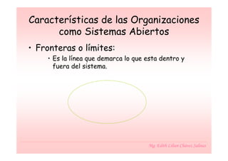 Características de las Organizaciones
      como Sistemas Abiertos
• Fronteras o límites:
    • Es la línea que demarca lo que esta dentro y
      fuera del sistema.




                                     Mg. Edith Lilian Chávez Salinas
 