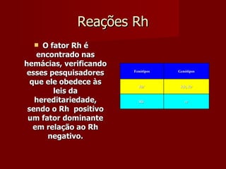 Reações Rh O fator Rh é encontrado nas hemácias, verificando esses pesquisadores que ele obedece às leis da hereditariedade, sendo o Rh  positivo um fator dominante em relação ao Rh negativo. Fenótipos Genótipos Rh + RR, Rr Rh - rr 