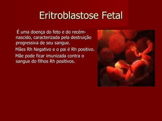Eritroblastose Fetal É uma doença do feto e do recém-nascido, caracterizada pela destruição progressiva de seu sangue. Mães Rh Negativo e o pai é Rh positivo. Mãe pode ficar imunizada contra o sangue do filhos Rh positivos. 