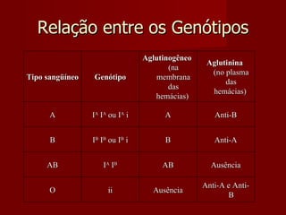 Relação entre os Genótipos Tipo sangüíneo Genótipo Aglutinogêneo  (na membrana das hemácias)  Aglutinina  (no plasma das hemácias)  A I A  I A  ou I A  i A Anti-B B I B  I B  ou I B  i B Anti-A AB I A  I B AB Ausência O ii Ausência Anti-A e Anti-B 
