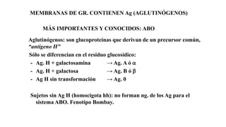 MEMBRANAS DE GR. CONTIENEN Ag (AGLUTINÓGENOS)
Aglutinógenos: son glucoproteínas que derivan de un precursor común,
“antígeno H”
Sólo se diferencian en el residuo glucosídico:
- Ag. H + galactosamina → Ag. A ó a
- Ag. H + galactosa → Ag. B ó b
- Ag H sin transformación → Ag. 0
Sujetos sin Ag H (homocigota hh): no forman ng. de los Ag para el
sistema ABO. Fenotipo Bombay.
MÁS IMPORTANTES Y CONOCIDOS: ABO
 