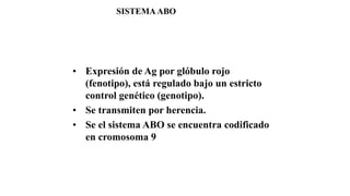 • Expresión de Ag por glóbulo rojo
(fenotipo), está regulado bajo un estricto
control genético (genotipo).
• Se transmiten por herencia.
• Se el sistema ABO se encuentra codificado
en cromosoma 9
SISTEMAABO
 