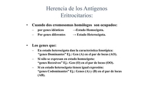 Herencia de los Antígenos
Eritrocitarios:
• Cuando dos cromosomas homólogos son ocupados:
– por genes idénticos →Estado Homocigota.
– Por genes diferentes → Estado Heterocigota.
• Los genes que:
– En estado heterocigota dan la característica fenotípica:
“genes Dominantes” Ej.: Gen (A) en el par de locus (AO).
– Si sólo se expresan en estado homocigota:
“genes Recesivos” Ej.: Gen (O) en el par de locus (OO).
– Si en estado heterocigota tienen igual expresión:
“genes Codominantes” Ej.: Genes (A) y (B) en el par de locus
(AB).
 