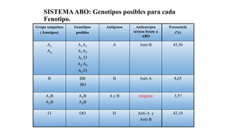 SISTEMAABO: Genotipos posibles para cada
Fenotipo.
Grupo sanguíneo
( fenotipos)
Genotipos
posibles
Antígenos Anticuerpos
séricos frente a
ABO
Frecuencia
(%)
A1
A2
A1A1
A1A2
A1 O
A2 A2
A2 O
A Anti-B 45,56
B BB
BO
B Anti-A 8,65
A1B
A2B
A1B
A2B
A y B ninguno 3,57
O OO H Anti-A y
Anti-B
42,10
 