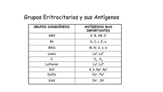 Grupos Eritrocitarios y sus Antígenos
GRUPOS SANGUÍNEOS ANTÍGENOS MAS
IMPORTANTES
ABO A, B, AB, O
Rh D, C, c, E, e
MNS M, N, S, s, U
Lewis Lea
, Leb
P P1, P2
Lutheran Lua
, Lub
Kell K, k, Kpa, Kpb
Duffy Fya, Fyb
Kidd Jka, Jkb
 