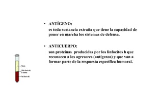 • ANTÍGENO:
es toda sustancia extraña que tiene la capacidad de
poner en marcha los sistemas de defensa.
• ANTICUERPO:
son proteínas producidas por los linfocitos b que
reconocen a los agresores (antígenos) y que van a
formar parte de la respuesta específica humoral.
 