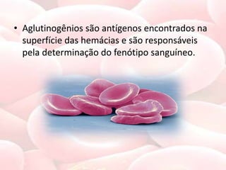• Aglutinogênios são antígenos encontrados na
  superfície das hemácias e são responsáveis
  pela determinação do fenótipo sanguíneo.
 