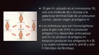 El gen H, ubicado en el cromosoma 19,
une una molécula de L-fucosa a la
galactosa terminal (Gal) de un precursor
común, dando origen al antígeno H.
Los individuos que son homocigóticos
para el gen nulo (h/h) no producen
antígeno H y desarrollan anticuerpos
anti-H; no producir el antígeno H,
tampoco producen los antígenos A o B,
y su suero contiene anti-A, anti-B y anti-
H (fenotipo de Bombay).
 
