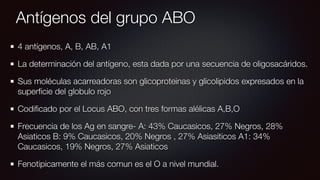Antígenos del grupo ABO
4 antígenos, A, B, AB, A1
La determinación del antígeno, esta dada por una secuencia de oligosacáridos.
Sus moléculas acarreadoras son glicoproteinas y glicolipidos expresados en la
superﬁcie del globulo rojo
Codiﬁcado por el Locus ABO, con tres formas alélicas A,B,O
Frecuencia de los Ag en sangre- A: 43% Caucasicos, 27% Negros, 28%
Asiaticos B: 9% Caucasicos, 20% Negros , 27% Asiasiticos A1: 34%
Caucasicos, 19% Negros, 27% Asiaticos
Fenotipicamente el más comun es el O a nivel mundial.
 