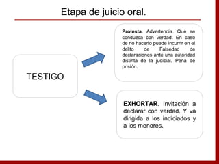 TESTIGO
Protesta. Advertencia. Que se
conduzca con verdad. En caso
de no hacerlo puede incurrir en el
delito de Falsedad de
declaraciones ante una autoridad
distinta de la judicial. Pena de
prisión.
EXHORTAR. Invitación a
declarar con verdad. Y va
dirigida a los indiciados y
a los menores.
Etapa de juicio oral.
 