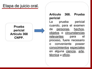Prueba
pericial
Artículo 368
CNPP.
Artículo 368. Prueba
pericial
La prueba pericial
cuando, para el examen
de personas, hechos,
objetos o circunstancias
relevantes para el
proceso, fuere necesario
o conveniente poseer
conocimientos especiales
en alguna ciencia, arte,
técnica u oficio.
Etapa de juicio oral.
 